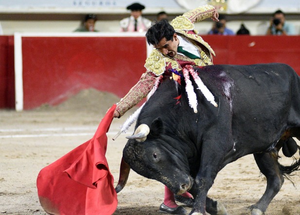  Joselito Adame toros